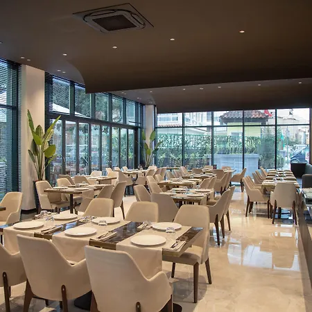 Elisa Tirana, Affiliated By Melia Tirana