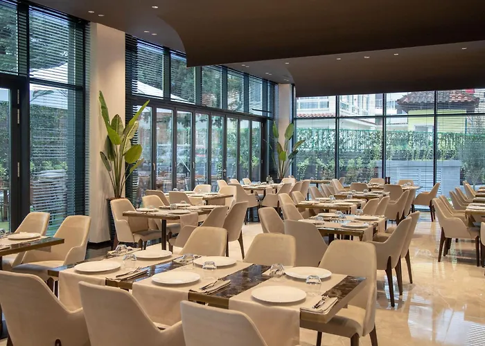 Elisa Affiliated By Melia Tirana