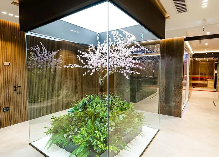 Elisa Affiliated By Melia Tirana